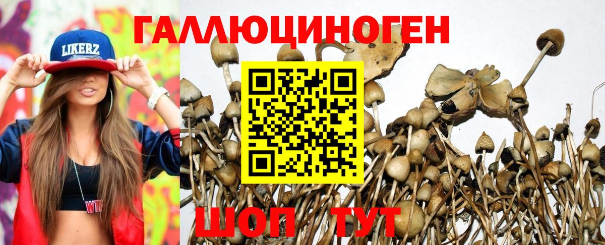 Псилоцибиновые грибы ЛСД Ростов Великий