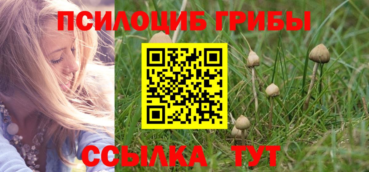 Псилоцибиновые грибы мицелий  Вход с VPN  Ростов Великий 